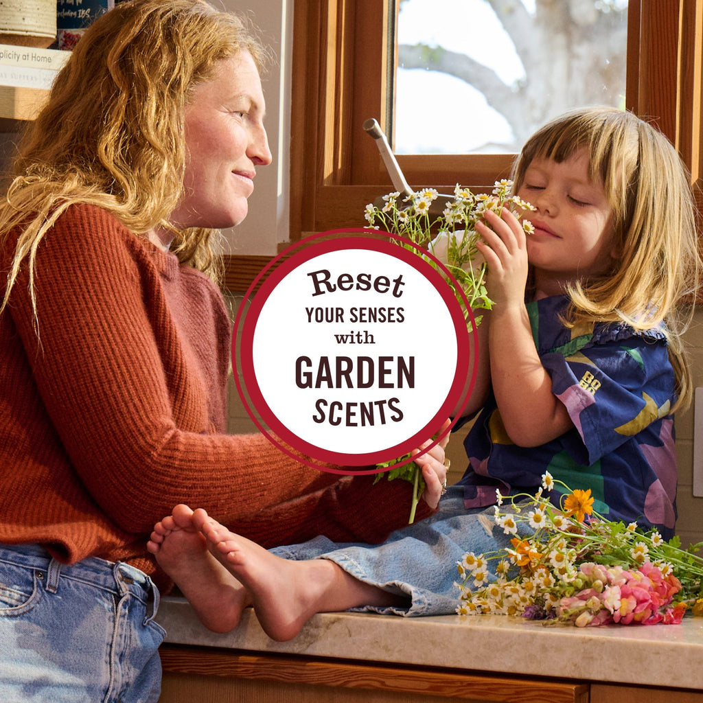 Gingerbread Room Spray: Non-Aerosolized Room Freshener | Mrs. Meyer's