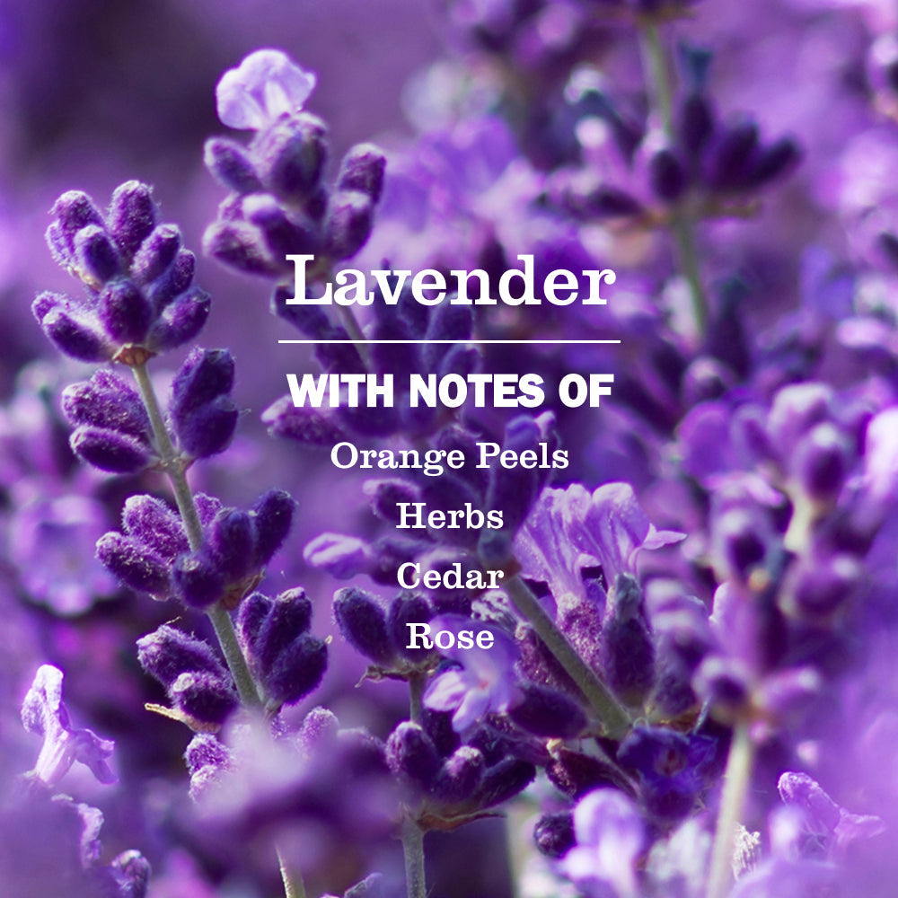 Mrs. Meyer's Lavender Liquid Hand Soap