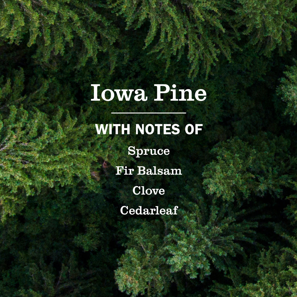 Mrs. Meyer's Iowa Pine Dish Soap